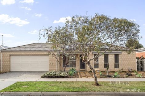 Property photo of 11 Swamphen Drive Leopold VIC 3224