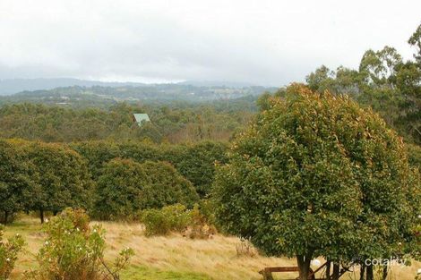 Property photo of 35 Angus Road Yellingbo VIC 3139