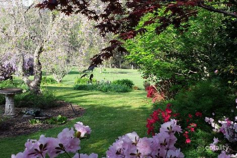 Property photo of 1883 Araluen Road Deua River Valley NSW 2537
