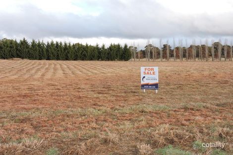 47 Beaver Pl, Walcha, NSW 2354