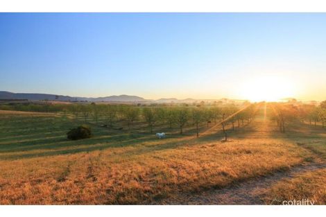 Property photo of 458A Elderslie Road Branxton NSW 2335