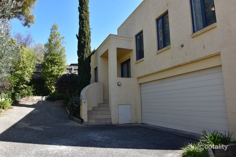 4/41 The Avenue, Belmont, VIC 3216