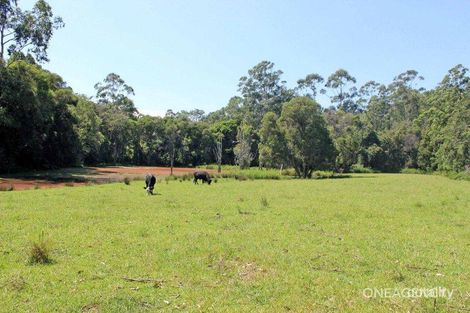 Property photo of 101 Chain O Ponds Road Collombatti NSW 2440