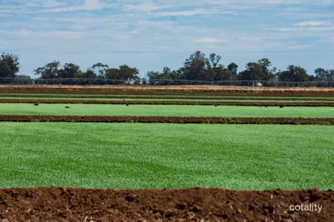 3357 Newell Hwy, Finley, NSW 2713