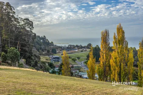 Property photo of 20 Grant Street Havenview TAS 7320
