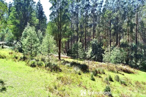 Property photo of 194 Smiths Road Toolangi VIC 3777
