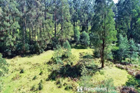 Property photo of 194 Smiths Road Toolangi VIC 3777