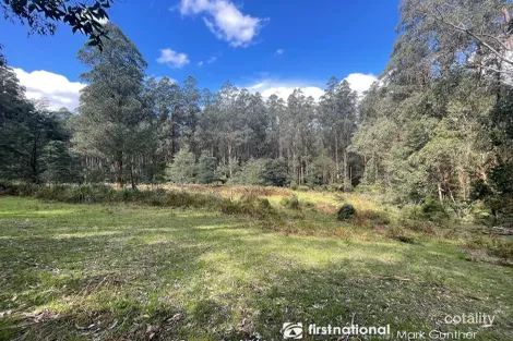 194 Smiths Rd, Toolangi, VIC 3777