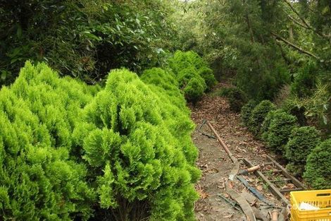 1784 Flagstone Creek Rd, Upper Flagstone, QLD 4344