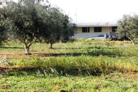 Property photo of 157 Kallora Road Bowmans SA 5550