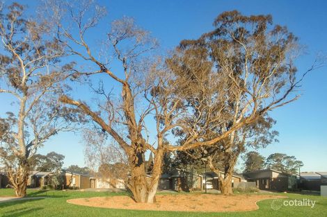 Property photo of 24 Otway Street Harrison ACT 2914