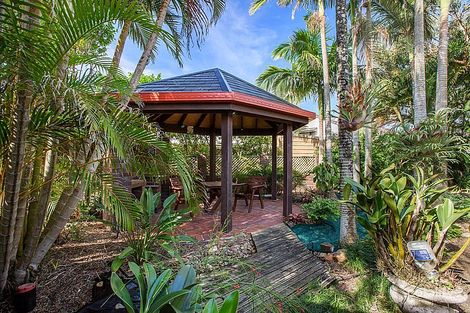Property photo of 56 Clematis Court Marcoola QLD 4564