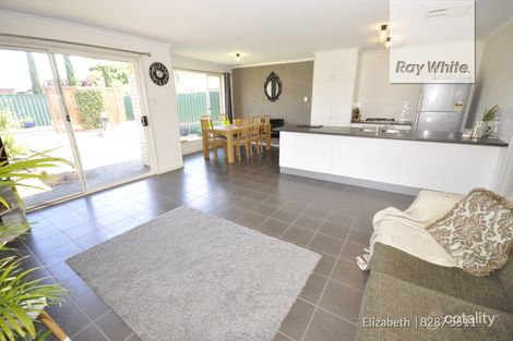 Property photo of 91 Kingate Boulevard Blakeview SA 5114