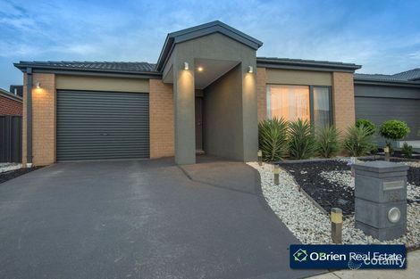 Property photo of 53 Abrus Circuit Cranbourne North VIC 3977