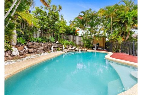 Property photo of 17 Nandi Terrace Pacific Pines QLD 4211