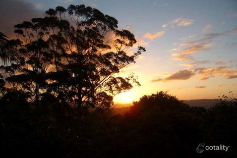 Property photo of 56 North Road Lower Beechmont QLD 4211