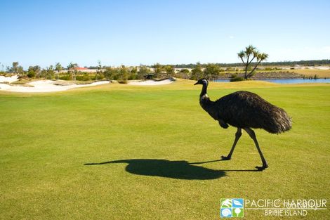 Property photo of 223 Freshwater Drive Banksia Beach QLD 4507