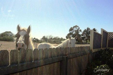 2 Driftwood Lane, St Helens, TAS 7216