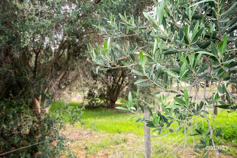 Property photo of 28 Manzanillo Avenue Moama NSW 2731