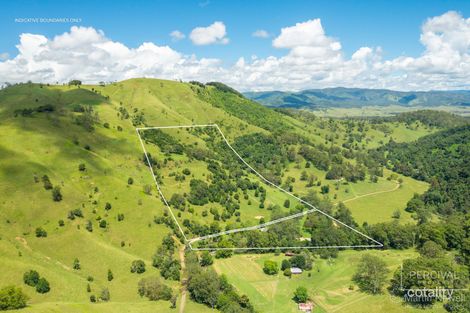 Property photo of 930 Kindee Road Kindee NSW 2446