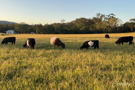 37 Johnsons Creek Rd, Stroud Road, NSW 2415