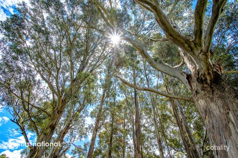 Lot 2 Mckenzies Rd, Leslie Vale, TAS 7054