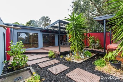Property photo of 43 Hilton Street Mount Waverley VIC 3149