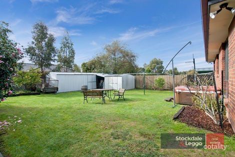 Property photo of 19 Noel Road Langwarrin VIC 3910