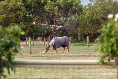 Property photo of 31 Caldwell Crescent Wallington VIC 3222