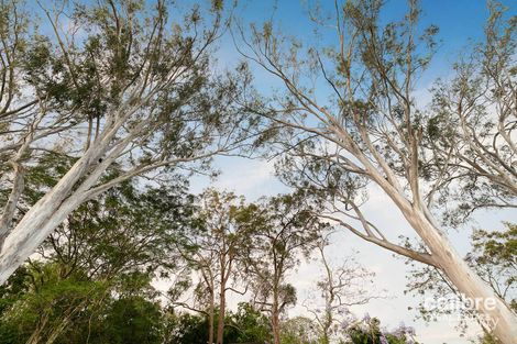 Property photo of 17 Gordon Road Bardon QLD 4065
