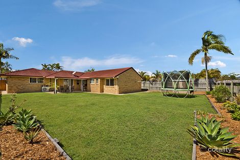 Property photo of 5 Kalmia Place Mountain Creek QLD 4557