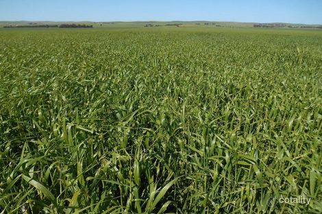 553 Old Reservoir Rd, Canowie Belt, SA 5420