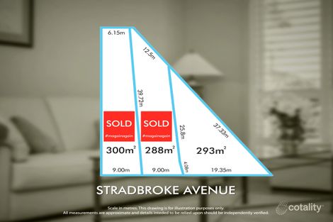 19 Stradbroke Ave, Plympton Park, SA 5038