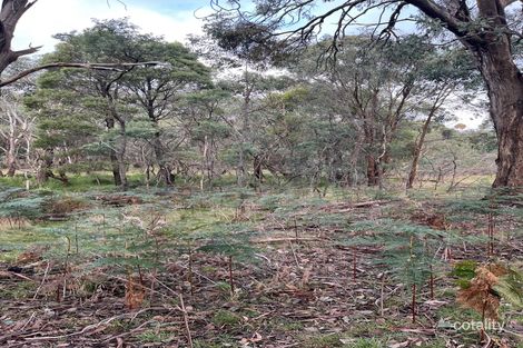 Property photo of 217 Ridge Road Gooram VIC 3666