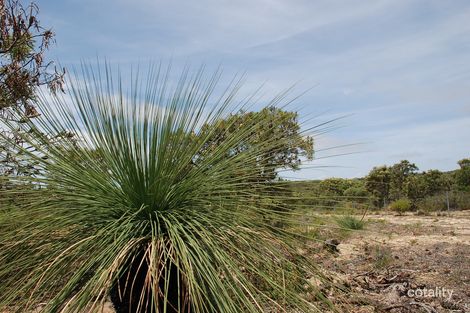 Property photo of 61 River Loop Jurien Bay WA 6516