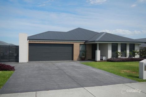 Property photo of 11 Mistfly Street Chisholm NSW 2322