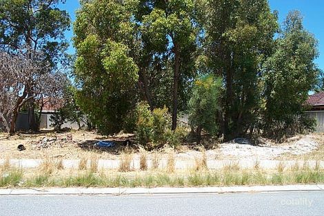 41 Banksia Rd, Morley, WA 6062