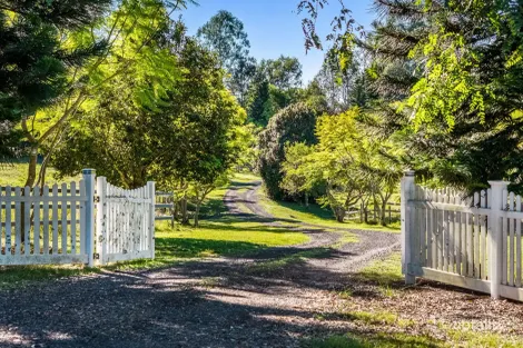 250 UPPER STRATHEDEN RD, STRATHEDEN, NSW 2470