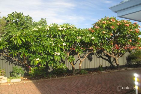 Property photo of 131 Shakespeare Avenue Yokine WA 6060