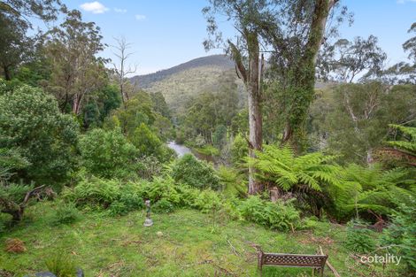 Property photo of 49 Riverturn Lane Warburton VIC 3799