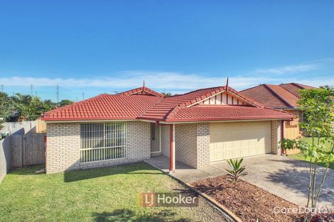 Property photo of 8 Mount Flinders Place Algester QLD 4115