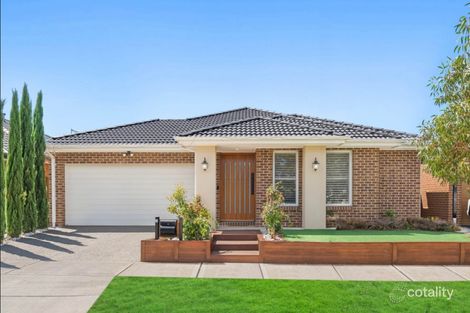 Property photo of 31 Trijena Avenue Mickleham VIC 3064