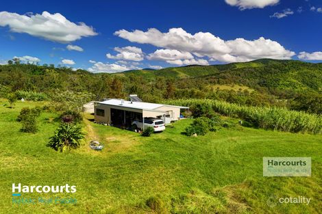Property photo of 2992 Nowendoc Road Caffreys Flat NSW 2424