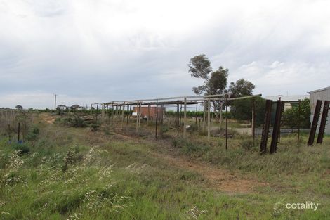 Property photo of 60 Forward Avenue Loveday SA 5345