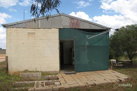 Property photo of 60 Forward Avenue Loveday SA 5345