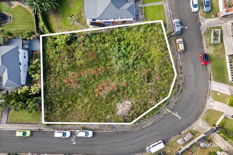 Property photo of 19 Malcolm Avenue Cringila NSW 2502