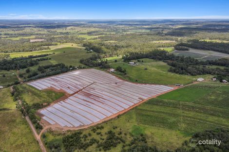 52 Harvey St, Avenell Heights, QLD 4670