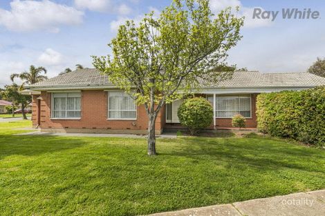 Property photo of 21 Florence Street Netley SA 5037