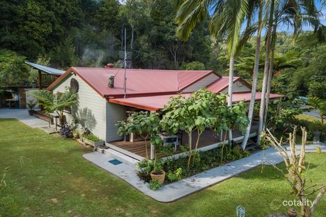 Property photo of 81 Braeside Drive Uki NSW 2484