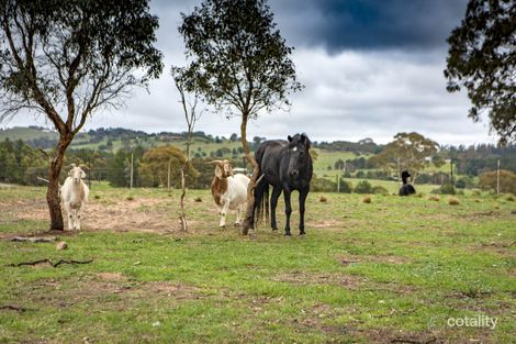 Property photo of 69 Molonglo River Drive Carwoola NSW 2620